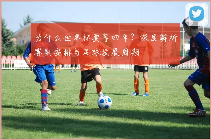 为什么世界杯要等四年？深度解析赛制安排与足球发展周期