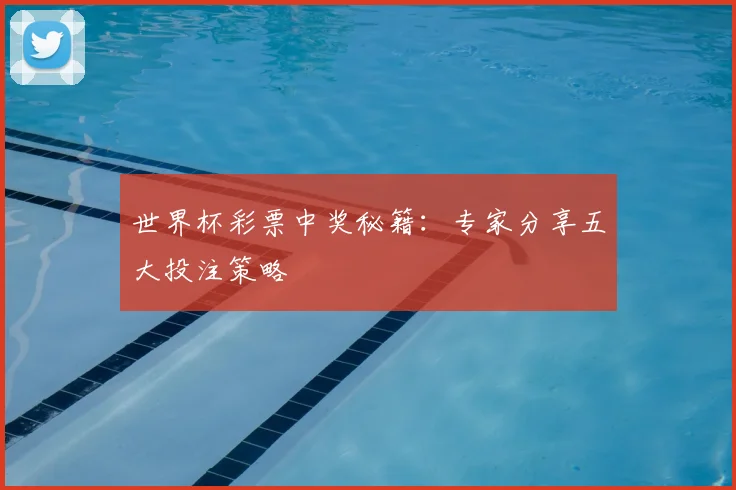 世界杯彩票中奖秘籍：专家分享五大投注策略