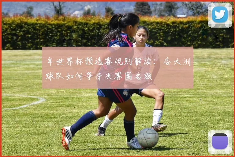 年世界杯预选赛规则解读：各大洲球队如何争夺决赛圈名额